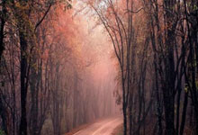 12月12日星期五,农历十月廿三,工作愉快,平安喜乐