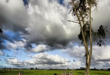 12月12日星期五，农历十月廿三，工作愉快，平安喜乐