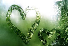 12月11日星期四,农历十月廿二,工作愉快,平安喜乐