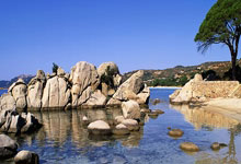 12月13日星期六,农历十月廿四,周末愉快,平安喜乐